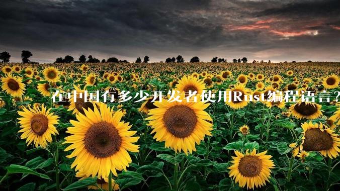 在中国有多少开发者使用Rust编程语言？
