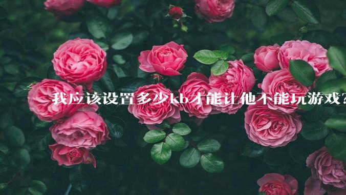我应该设置多少kb才能让他不能玩游戏？