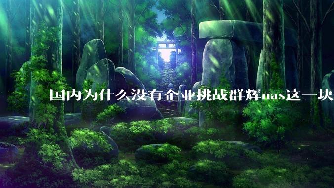 国内为什么没有企业挑战群辉nas这一块市场？