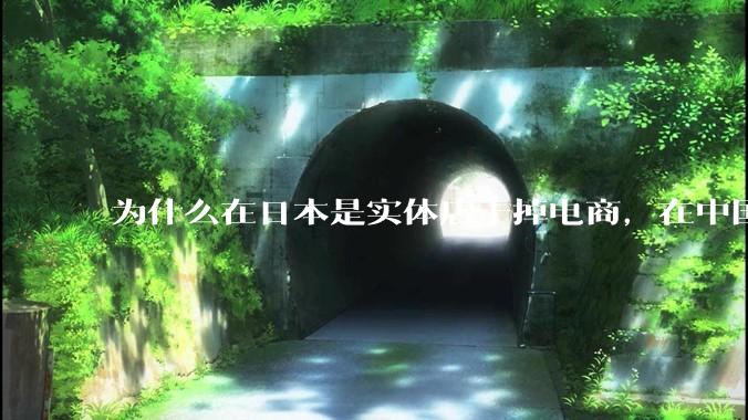 为什么在日本是实体店干掉电商，在中国却是电商干掉实体？