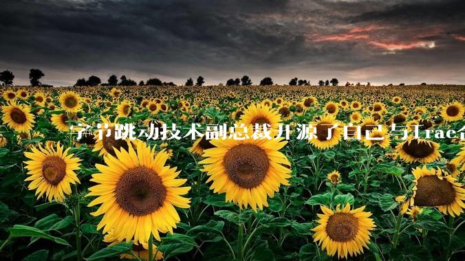字节跳动技术副总裁开源了自己与Trae合作的首个项目，如何评价目前AI开发的水平？